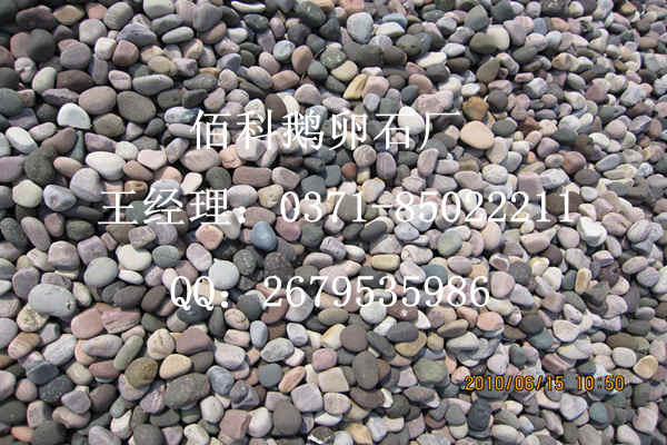 佰科天然鵝卵石，質(zhì)量價格可靠