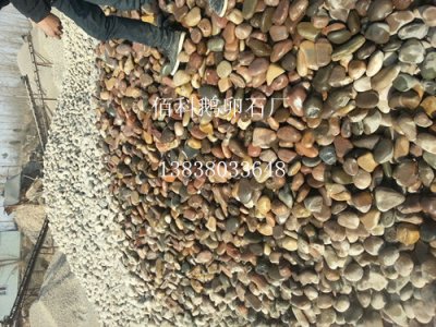 鵝卵石與河卵石的區(qū)別是什么？